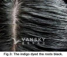 260327095007_Hair-Dyed with indigo-s.jpg